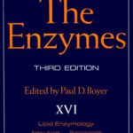 خرید و دانلود نسخه کامل کتاب Lipid Enzymology