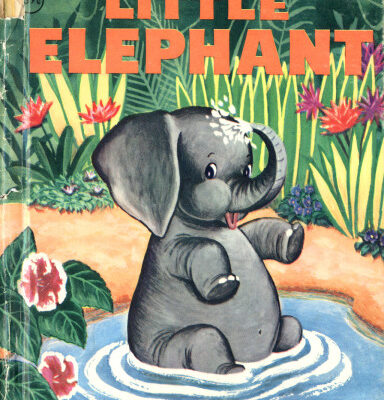 خرید و دانلود نسخه کامل کتاب Little Elephant