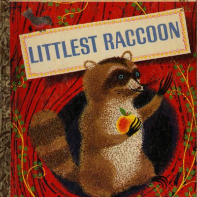 خرید و دانلود نسخه کامل کتاب Littlest Raccoon