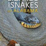 خرید و دانلود نسخه کامل کتاب Lizards and Snakes of Alabama