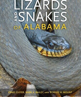 خرید و دانلود نسخه کامل کتاب Lizards and Snakes of Alabama