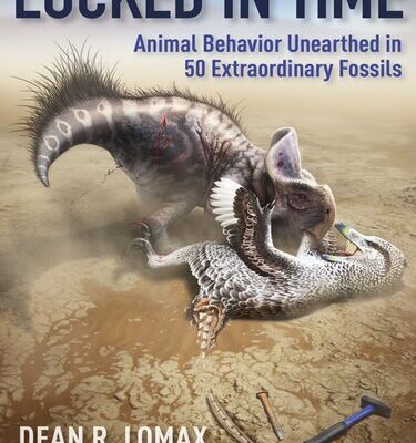 خرید و دانلود نسخه کامل کتاب Locked in Time: Animal Behavior Unearthed in 50 Extraordinary Fossils