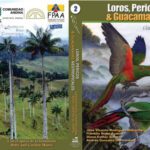 خرید و دانلود نسخه کامل کتاب Loros, pericos y guacamayas neotropicales (Neotropical pParrots, parakeets and Macaws)  Spanish