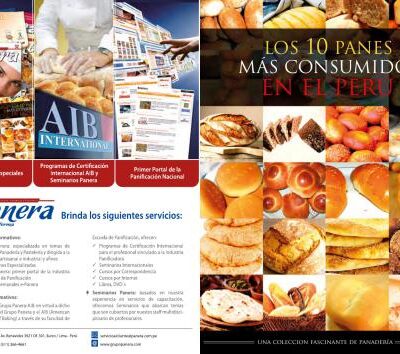 خرید و دانلود نسخه کامل کتاب Los 10 panes mas consumidos en el Perú