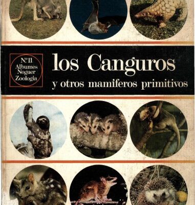 خرید و دانلود نسخه کامل کتاب Los canguros y otros mamíferos primitivos
