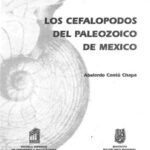 خرید و دانلود نسخه کامل کتاب Los cephalopodos del Paleozoico de Mexico