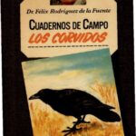 خرید و دانلود نسخه کامل کتاب Los córvidos