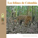 خرید و دانلود نسخه کامل کتاب Los felinos de Colombia