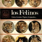 خرید و دانلود نسخه کامل کتاب Los Felinos