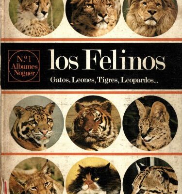 خرید و دانلود نسخه کامل کتاب Los Felinos
