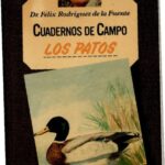خرید و دانلود نسخه کامل کتاب Los patos