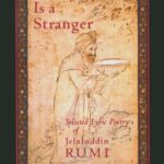 خرید و دانلود نسخه کامل کتاب Love is a Stranger