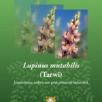خرید و دانلود نسخه کامل کتاب Lupinus mutabilis (tarwi/ chocho/ tawri). Leguminosa andina con gran potencial industrial