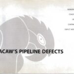 خرید و دانلود نسخه کامل کتاب Macaw’s Pipeline Defects