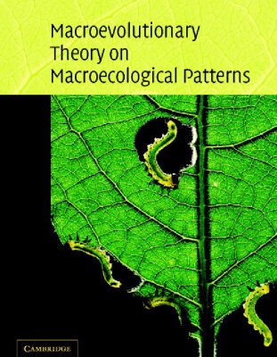 خرید و دانلود نسخه کامل کتاب Macroevolutionary Theory on Macroecological Patterns