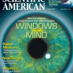 خرید و دانلود نسخه کامل کتاب [Magazine] Scientific American. Vol. 297. No 2