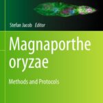 خرید و دانلود نسخه کامل کتاب Magnaporthe oryzae: Methods and Protocols