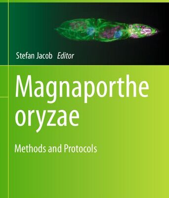 خرید و دانلود نسخه کامل کتاب Magnaporthe oryzae: Methods and Protocols
