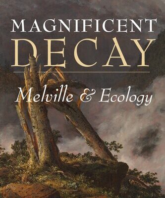خرید و دانلود نسخه کامل کتاب Magnificent Decay: Melville and Ecology