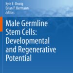 خرید و دانلود نسخه کامل کتاب Male Germline Stem Cells: Developmental and Regenerative Potential