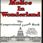 خرید و دانلود نسخه کامل کتاب Malice in wonderland