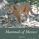 خرید و دانلود نسخه کامل کتاب Mammals of Mexico