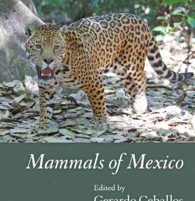 خرید و دانلود نسخه کامل کتاب Mammals of Mexico