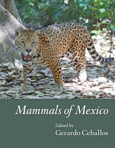 خرید و دانلود نسخه کامل کتاب Mammals of Mexico_68e7c39fb5601.jpeg خرید و دانلود نسخه کامل کتاب Mammals of Mexico