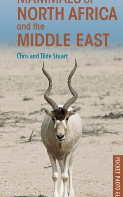 خرید و دانلود نسخه کامل کتاب Mammals of North Africa and the Middle East