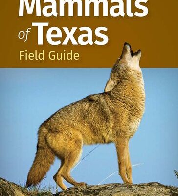 خرید و دانلود نسخه کامل کتاب Mammals of Texas Field Guide, 2e