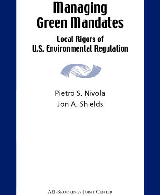 خرید و دانلود نسخه کامل کتاب Managing Green Mandates: Local Rigors of U.S. Environmental Regulation
