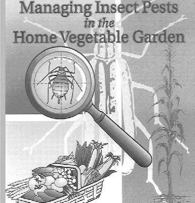 خرید و دانلود نسخه کامل کتاب Managing Insect Pests in the Home Vegetable Garden