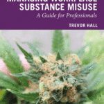 خرید و دانلود نسخه کامل کتاب Managing Workplace Substance Misuse: A Guide for Professionals