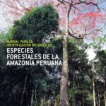 خرید و دانلود نسخه کامل کتاب Manual para la identificación botánica de especies forestales de la amazonía peruana