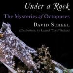 خرید و دانلود نسخه کامل کتاب Many Things Under a Rock: The Mysteries of Octopuses