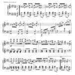 خرید و دانلود نسخه کامل کتاب Maple leaf rag