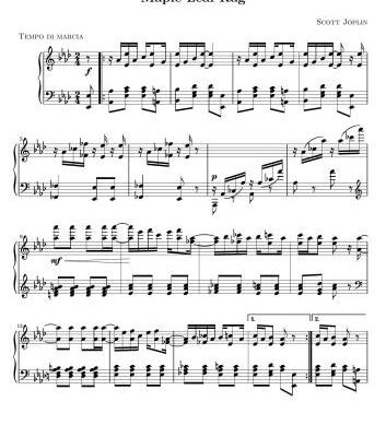خرید و دانلود نسخه کامل کتاب Maple leaf rag