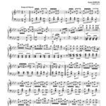 خرید و دانلود نسخه کامل کتاب Mapple Leaf Rag (for piano)