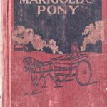 خرید و دانلود نسخه کامل کتاب Marigold’s Pony