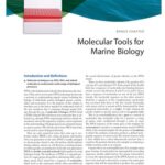 خرید و دانلود نسخه کامل کتاب Marine Biology: Function, Biodiversity, Ecology (Fifth Edition) – Bonus Chapter: Molecular Tools for Marine Biology