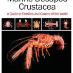 خرید و دانلود نسخه کامل کتاب Marine Decapod Crustacea. A guide to families and genera of the world