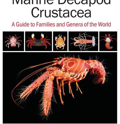 خرید و دانلود نسخه کامل کتاب Marine Decapod Crustacea. A guide to families and genera of the world
