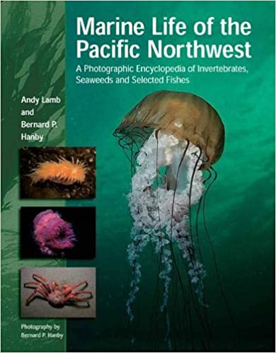 خرید و دانلود نسخه کامل کتاب Marine Life of the Pacific Northwest: A Photographic Encyclopedia of Invertebrates, Seaweeds And Selected Fishes_68e04bff09438.jpeg خرید و دانلود نسخه کامل کتاب Marine Life of the Pacific Northwest: A Photographic Encyclopedia of Invertebrates, Seaweeds And Selected Fishes