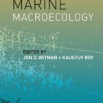 خرید و دانلود نسخه کامل کتاب Marine Macroecology