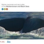 خرید و دانلود نسخه کامل کتاب Marine mammals and sea turtles of the Mediterranean and Black Seas