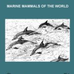 خرید و دانلود نسخه کامل کتاب Marine Mammals of the World: Species Identification Guide