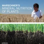 خرید و دانلود نسخه کامل کتاب Marschner’s Mineral Nutrition of Plants