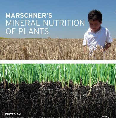خرید و دانلود نسخه کامل کتاب Marschner’s Mineral Nutrition of Plants