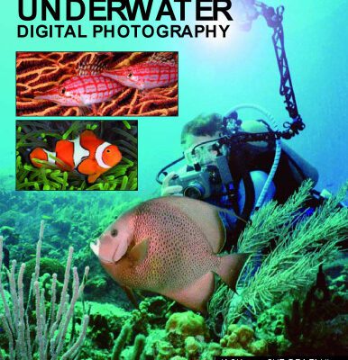 خرید و دانلود نسخه کامل کتاب Master Guide for Underwater Digital Photography
