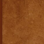 خرید و دانلود نسخه کامل کتاب Mathematical Theory of Rocket Flight